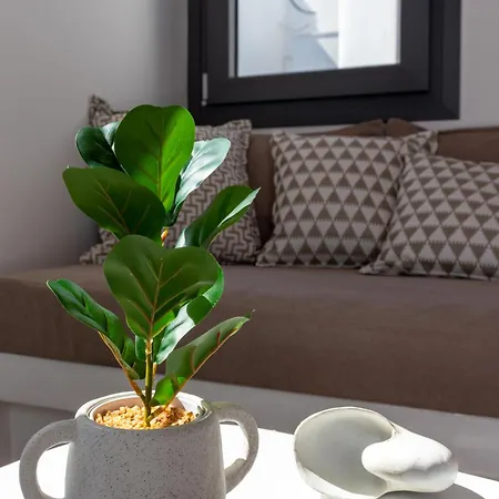 דירה Juliano Luxury Apartments, Port Of Naxos Naxos City